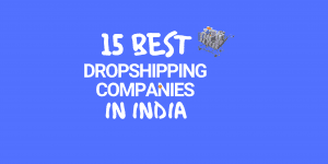 best dropshipping companies in india