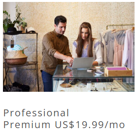 Professional Premium