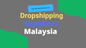 dropshipping-suppliers-in-Malaysia.